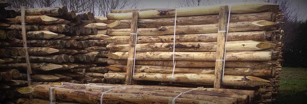 Stock de rondins en acacia près à être expédiés